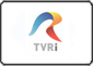 tvr international online